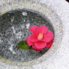 Flower Spa Bath