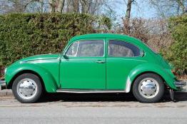Green Beetle