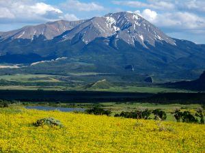 colorado mountains june