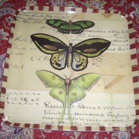 john derian butterfly piece