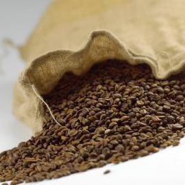 Coffee beans