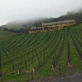 Sonoma Valley Fog Recently my wife and I planned a weekend with four other 
