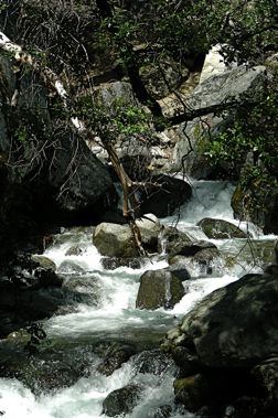 Yosemite stream