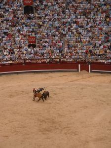 Bullfight in Madrid