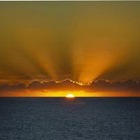 Orange Sunset