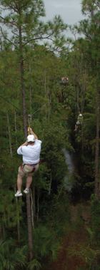 Zipline safari