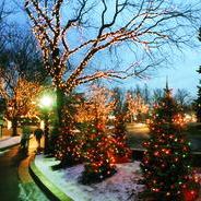 Festive cheer