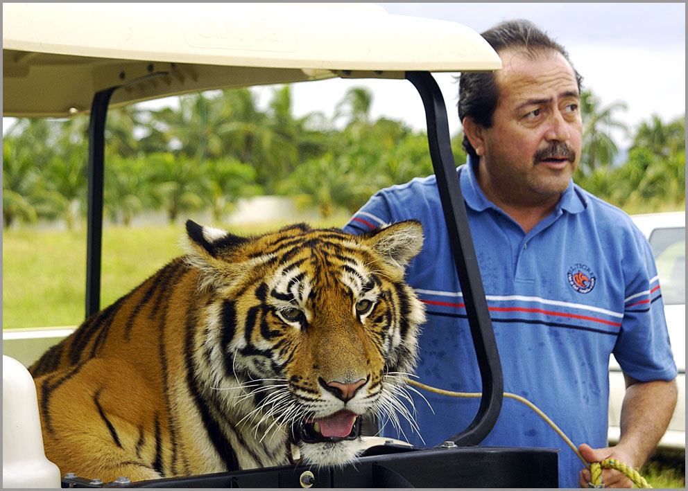 Tiger & Jesus