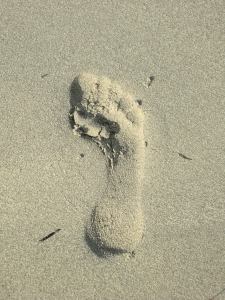 Footprint