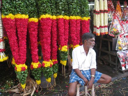 Indian flower seller Scrichran had found us drivers and brilliant guides to 