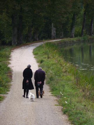 French countryside