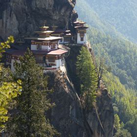 petergreenberg.com-TIGER MONESTARY BHUTAN