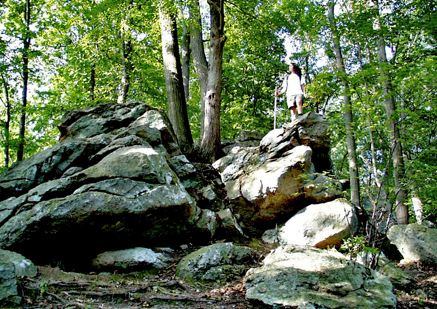White Clay Creek State Park - photo via DE State Parks